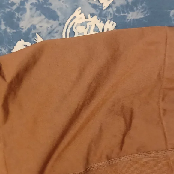 Cacique Brown High Waist Shorts with Seamless Design - Picture 5 of 10